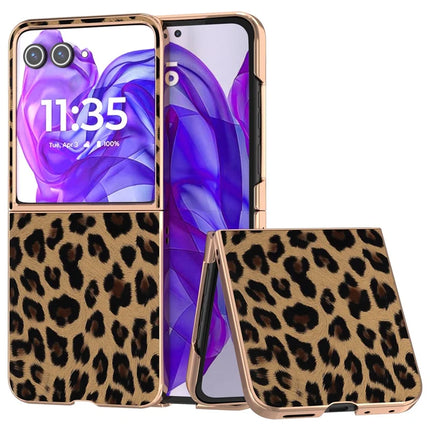 For Motorola Razr 50 Ultra 5G Case Electroplating Leopard Pattern PU+TPU Phone Cover - Champagne Gold