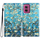 Apricot Blossom