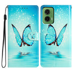 Blue Butterfly