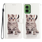 Cute Cat