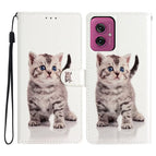 Cute Cat