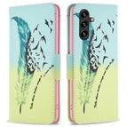 Feather and Birds