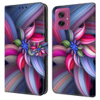 Colorful Flowers