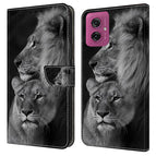 Couple Lions