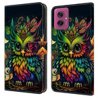 Colorful Owl