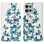 Blue Butterfly