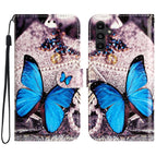 Blue Butterfly