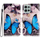 Blue Butterfly