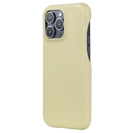 For iPhone 16 Pro Case Litchi Texture PU Leather PET Phone Back Cover - Green