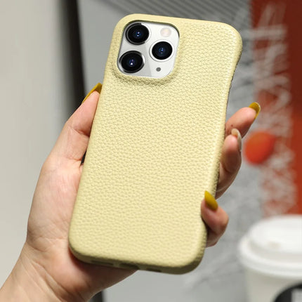 For iPhone 16 Pro Case Litchi Texture PU Leather PET Phone Back Cover
