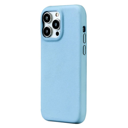 For iPhone 16 Pro Max Case Skin-Touch Lambskin Texture PU Leather + PET Phone Cover - Blue