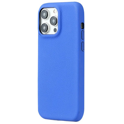 For iPhone 16 Pro Max Phone Case Skin Touch Litchi Texture Leather Coated PET Mobile Cover - Blue