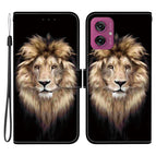 Lion Head