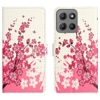 Plum Blossom