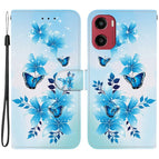 Blue Butterfly