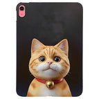 Shorthair Cat