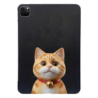 Shorthair Cat