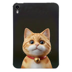 Shorthair Cat