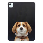 Harrier Beagle