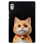 Shorthair Cat