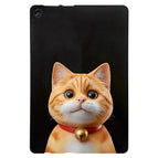 Shorthair Cat