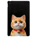 Shorthair Cat