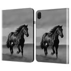 Black Horse