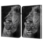 Couple Lions