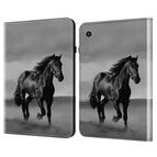 Black Horse