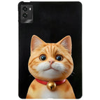 Shorthair Cat